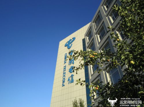 吉林電信政企事業(yè)群總經(jīng)理王卓從長(zhǎng)春電信副總提拔 曾兼任部門副總