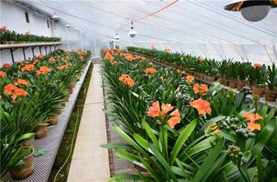 吉林省長春市:全國推進農(nóng)業(yè)現(xiàn)代化優(yōu)秀城市案例